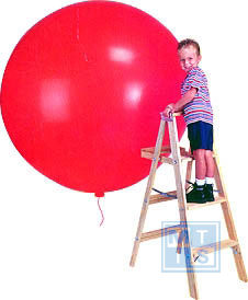 R350 Bedrukte reuzenballon: 2 kleuren / 1 zijde, 120cm doorsnede